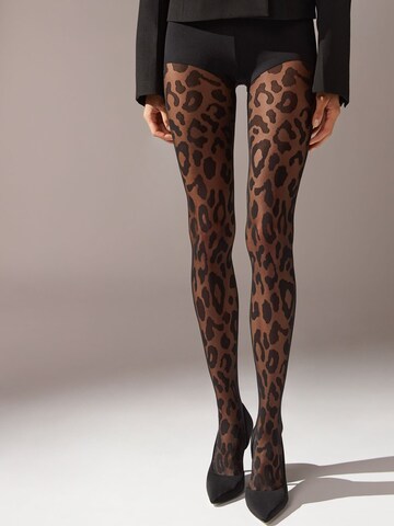 CALZEDONIA Tights in Black: front