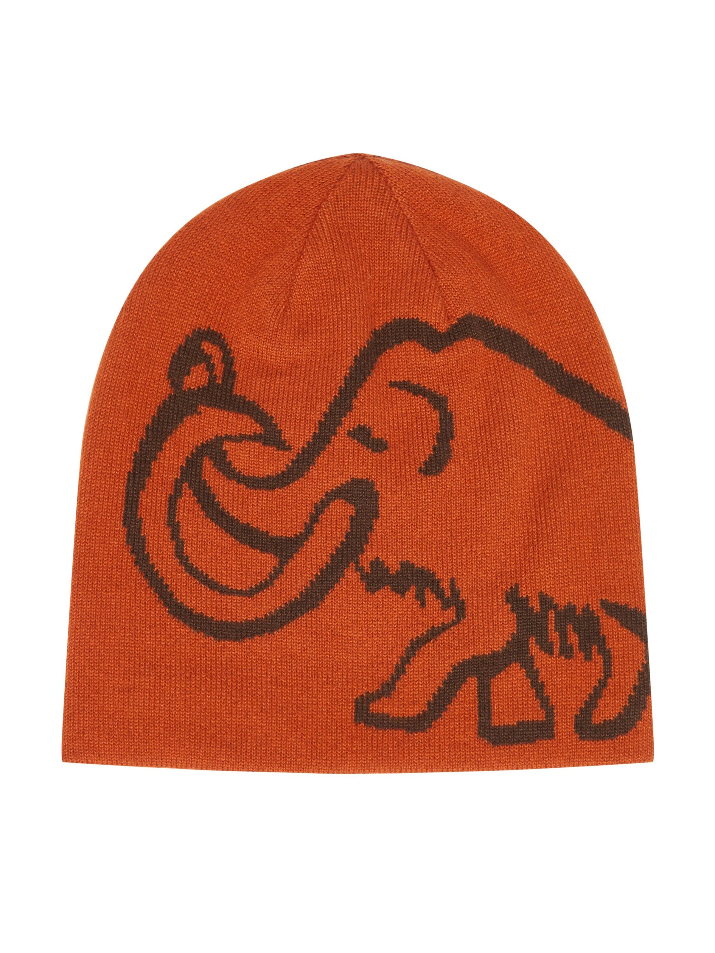MAMMUT Athletic Hat in Brown: front