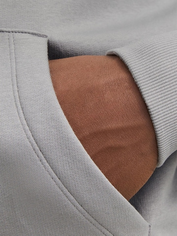 JACK & JONES Sweatjacke 'Star' in Grau