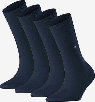 Chaussettes BURLINGTON en bleu : devant