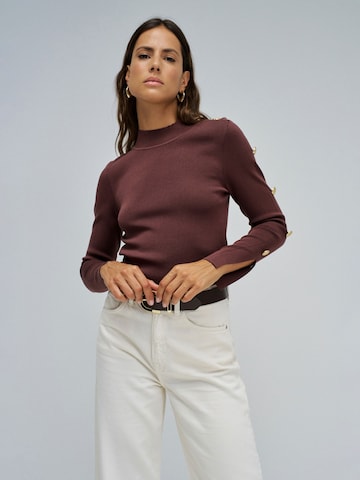 Salsa Jeans Pullover in Braun: Vorderseite