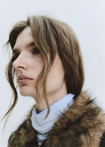MANGO Between-season jacket 'AVIADOR' in Brown: side