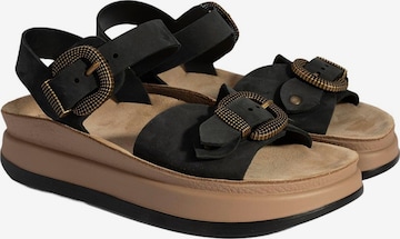 Desa Sandale 'Keilsandalen' in Schwarz: Vorderseite