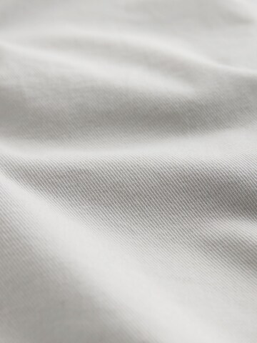 Regular Pantalon chino The Set en gris