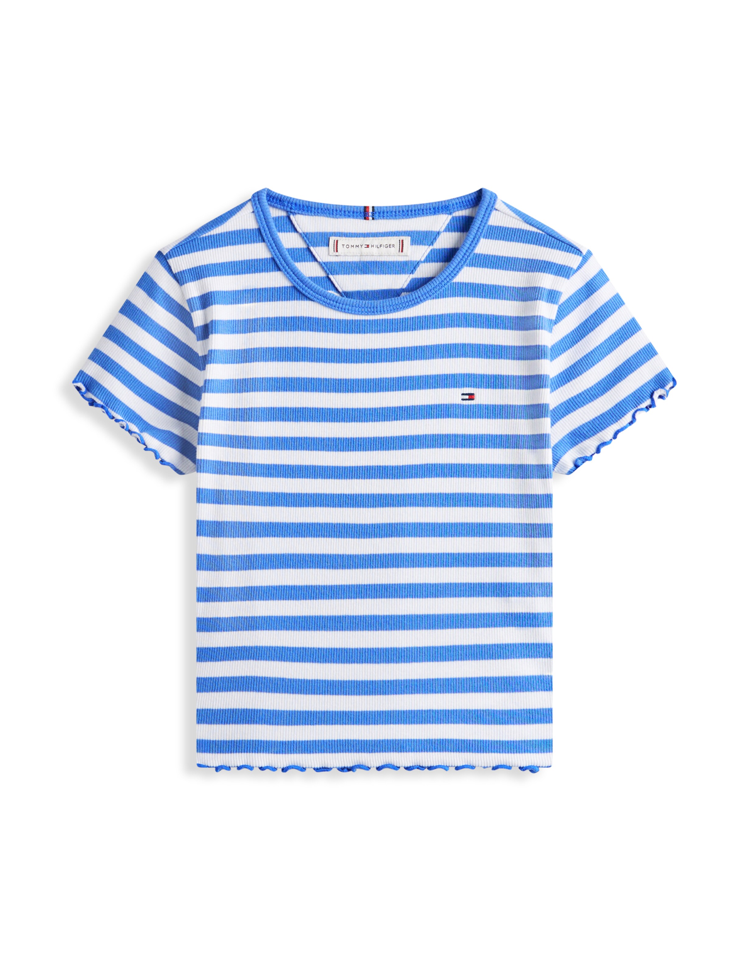 TOMMY HILFIGER Tričko 'ESSENTIAL' – modrá: přední strana