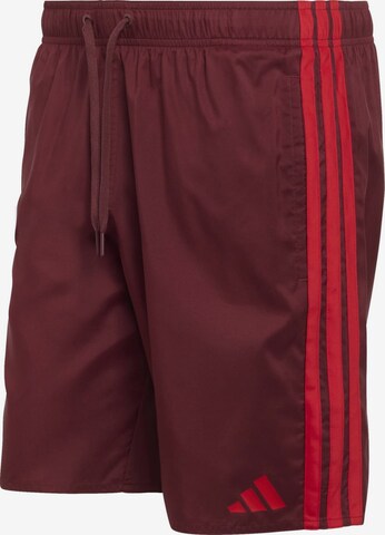 ADIDAS SPORTSWEAR Surfaripüksid, värv punane: eest vaates