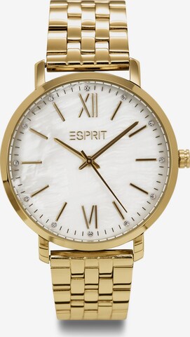 ESPRIT Analoguhr in Gold: predná strana