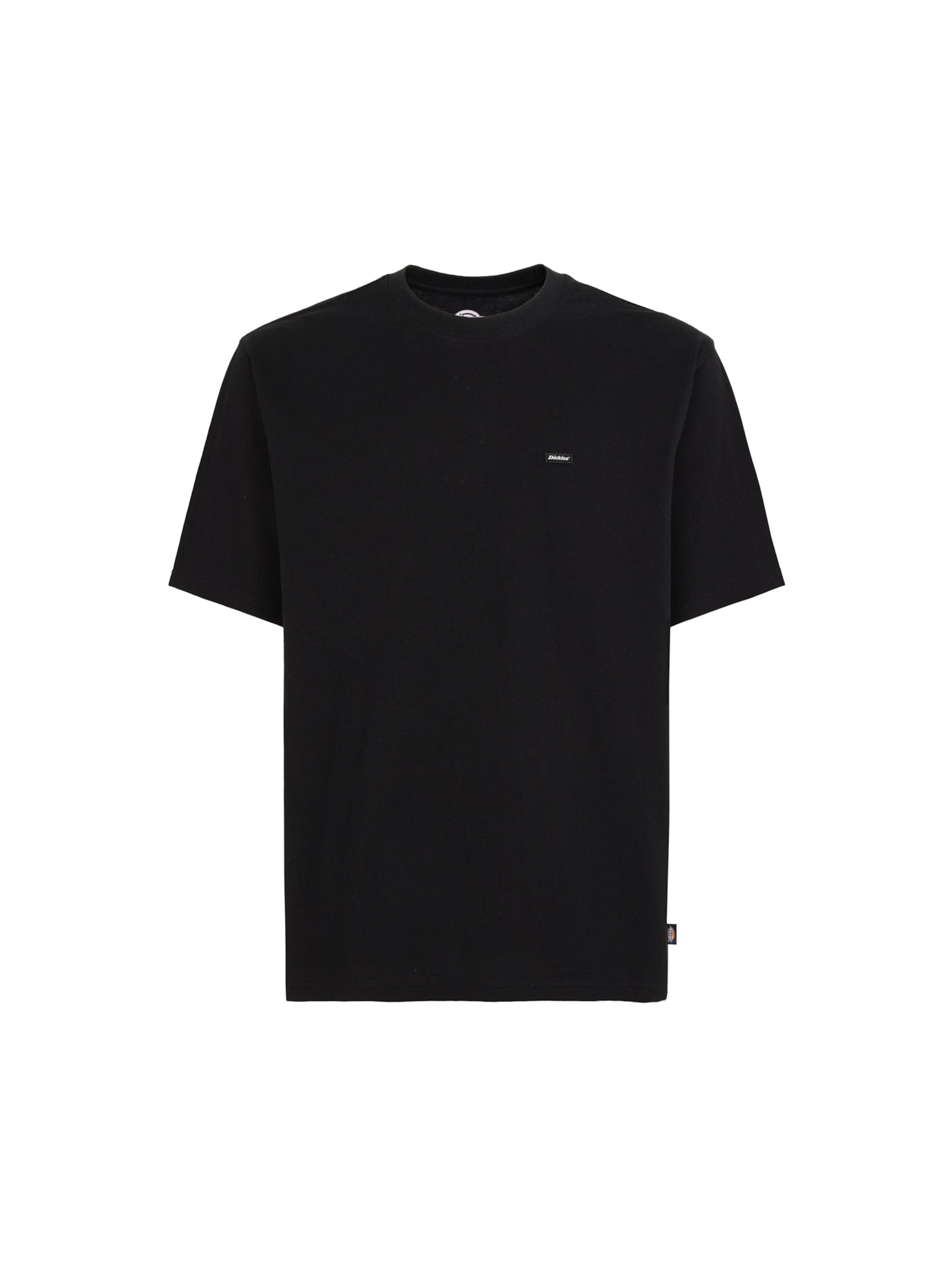 DICKIES Shirt 'CLANCY' in Black: front