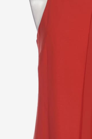 Coast Kleid S in Rot