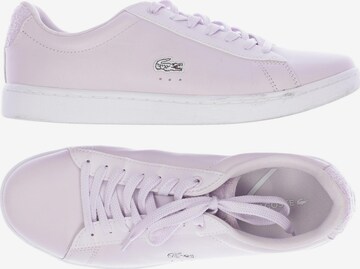 LACOSTE Sneakers & Trainers in 40 in Purple: front