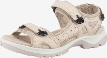 Sandalo da trekking 'Offroad' di ECCO in beige: frontale
