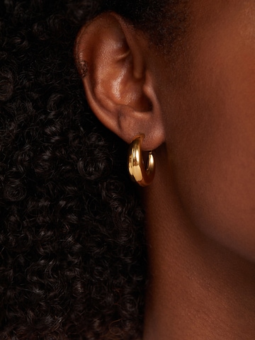 Boucles d'oreilles Lucardi en or : devant