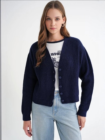 MixRay Knit Cardigan in Blue: front