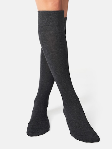 Chaussettes montantes ' Bambus ' Nur Die en gris : devant