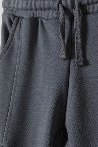 Regular Pantalon de sport MINOTI en gris