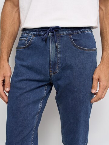 Salsa Jeans Loosefit Jeans in Blau