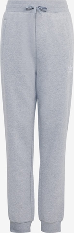 Pantaloni di ADIDAS ORIGINALS in grigio: frontale