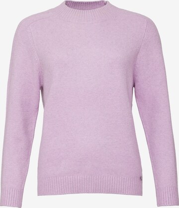 VICCI Germany Sweater in Purple: front