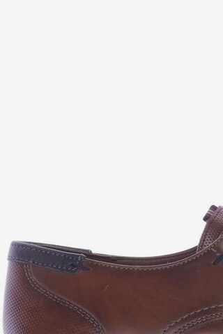 LLOYD Flats & Loafers in 40,5 in Brown