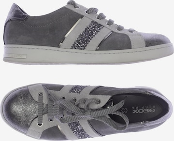 GEOX Sneakers & Trainers in 38 in Grey: front