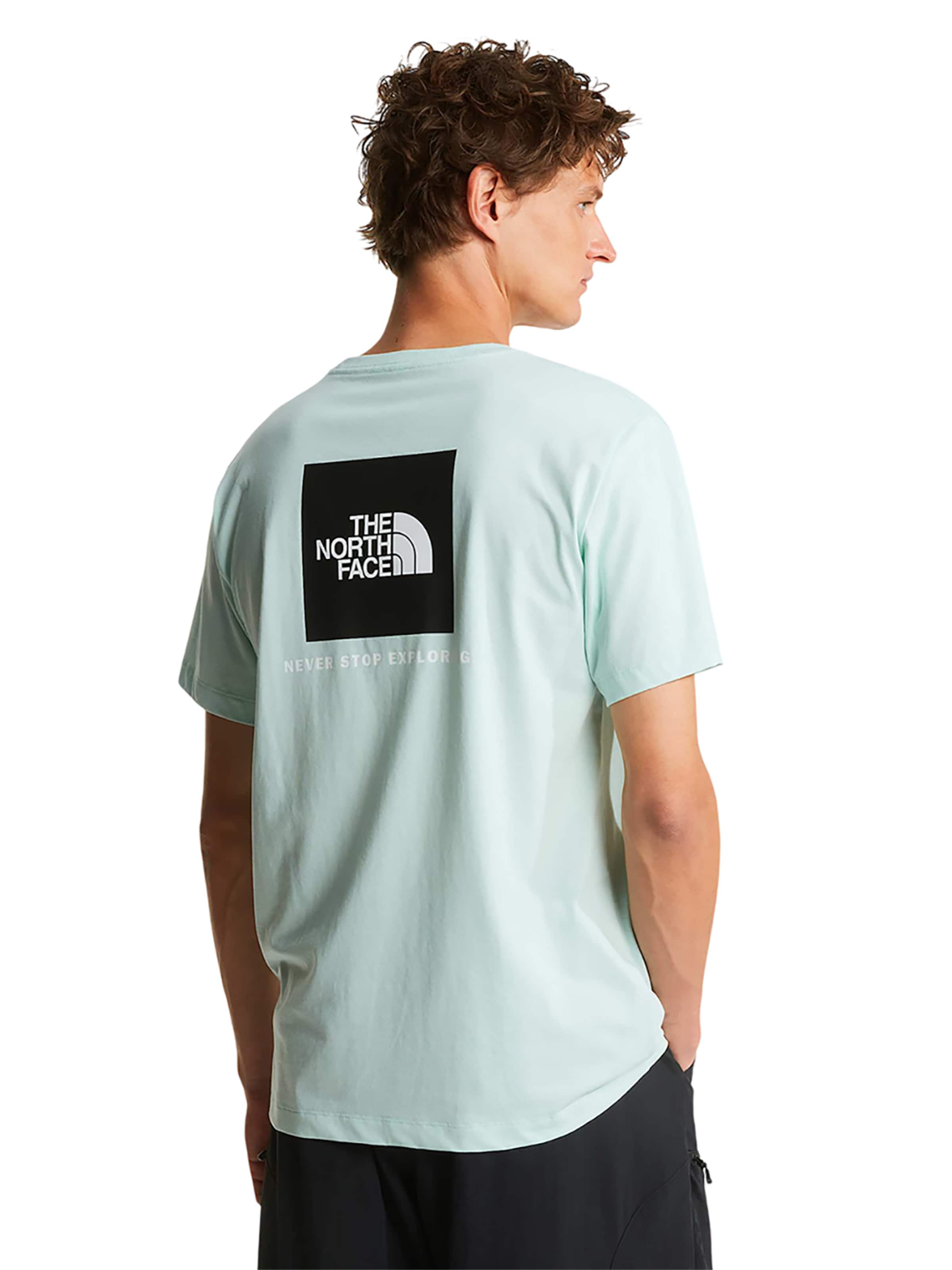 THE NORTH FACE Shirt 'Evolution Box NSE Regular' in Blue