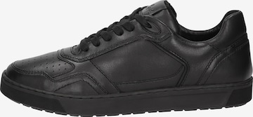 SIOUX Sneakers 'Tedroso-704' in Black