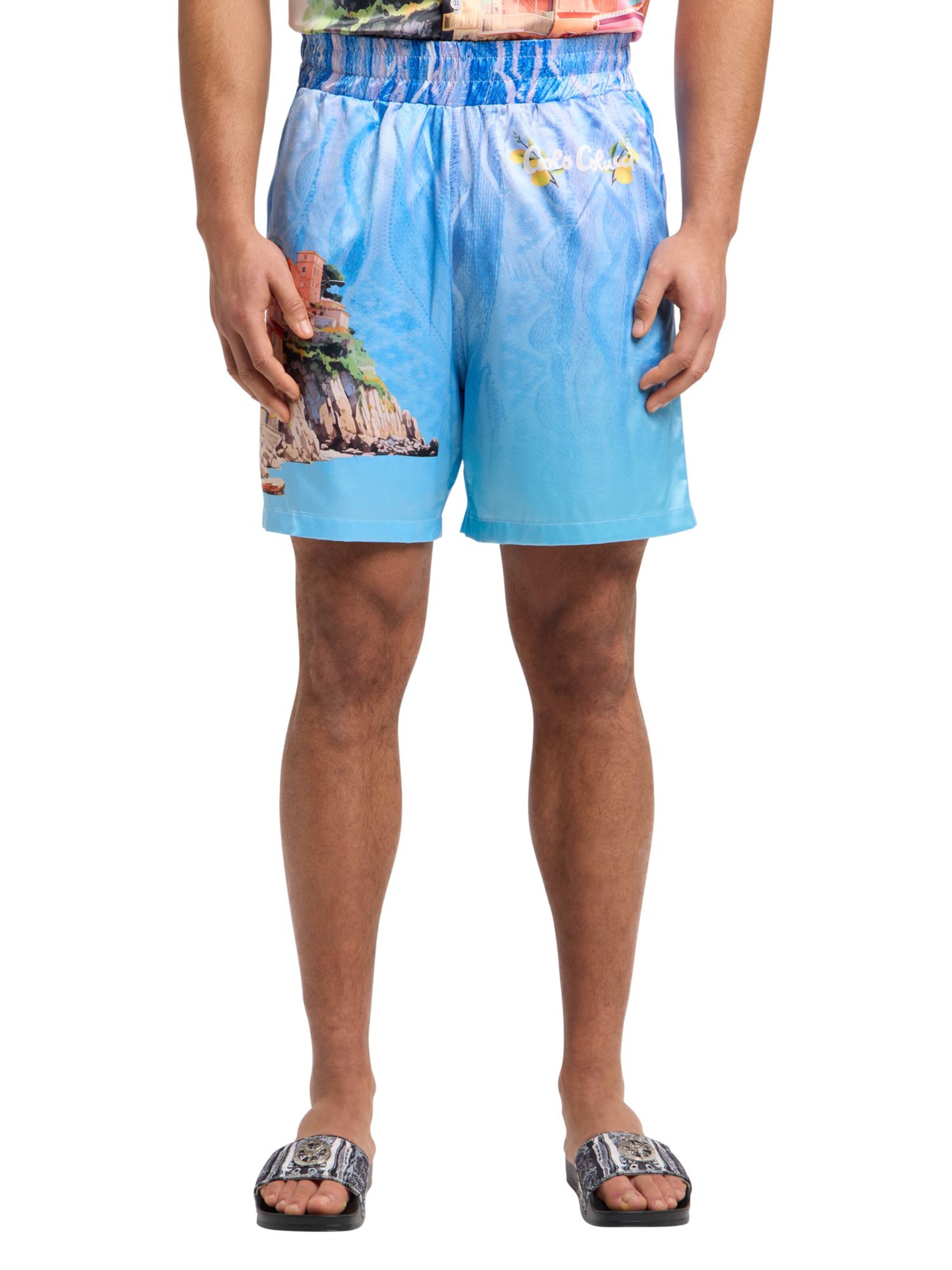 Carlo Colucci Regular Pants 'Eichacker' in Blue: front