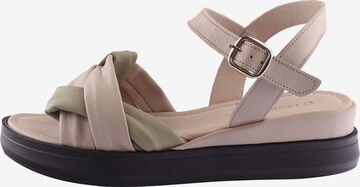 D.MoRo Shoes Sandalen met riem 'Siropilo' in Roze: voorkant