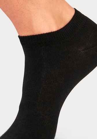 BENCH Socks in Black
