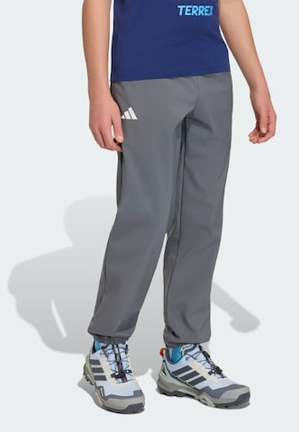 ADIDAS TERREX - Tapered Pantalón de montaña 'Minecraft' en gris: frente