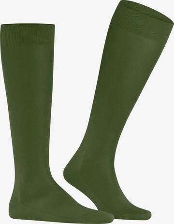FALKE Knee High Socks 'Tiago' in Green: front