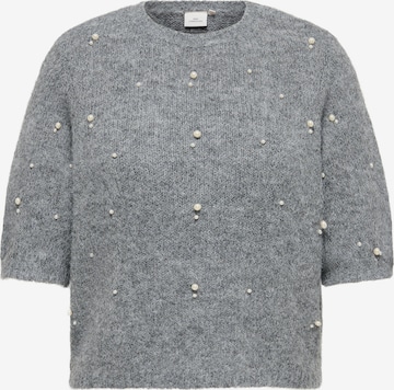 ONLY Carmakoma Pullover 'CARDOLLY' in Grau: Vorderseite