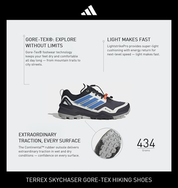ADIDAS TERREX Lave sko 'Skychaser' i grå