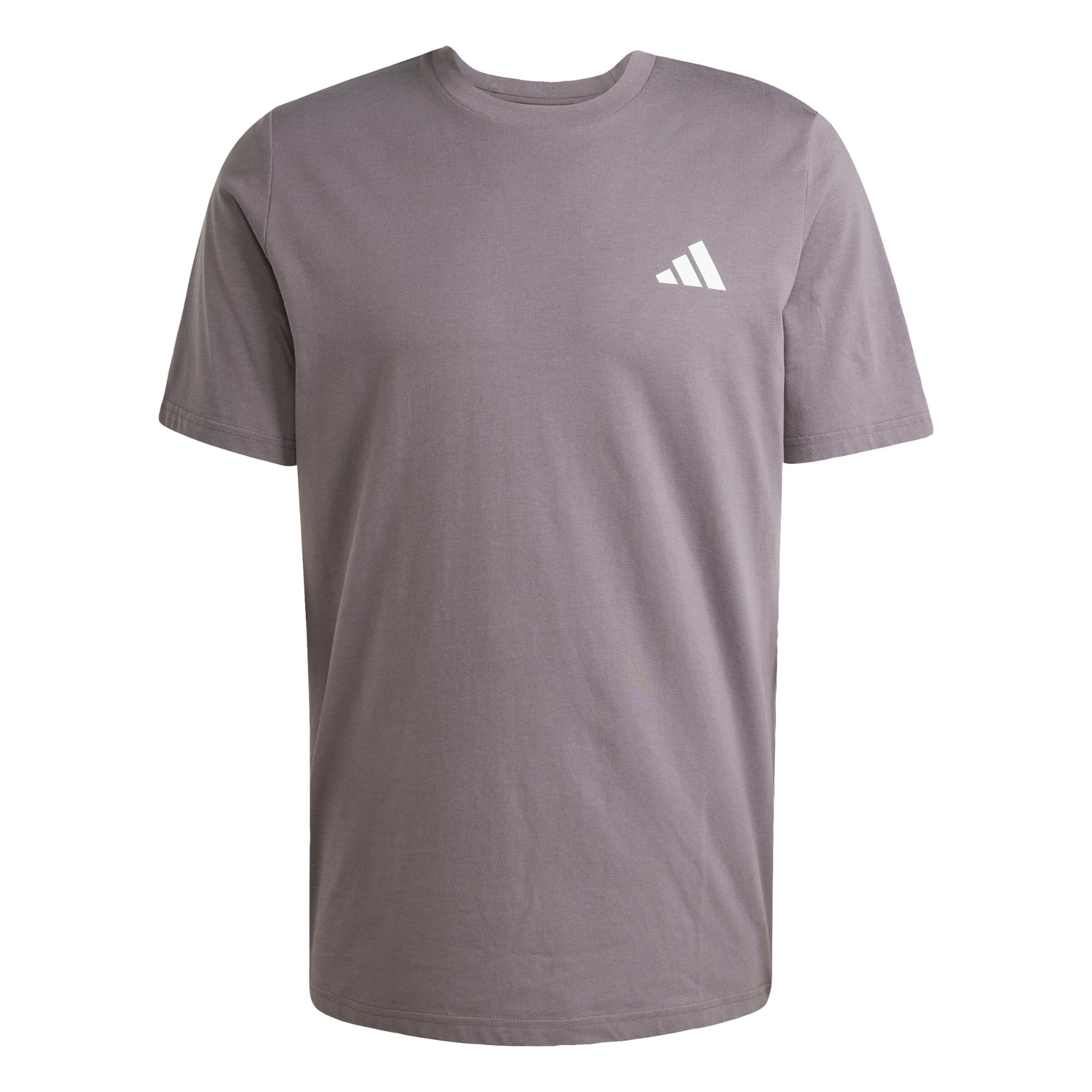 T-Shirt fonctionnel 'Mercedes - AMG Petronas Formula One Team Premium' ADIDAS PERFORMANCE en gris : devant