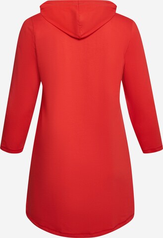 Aprico Kleid in Rot