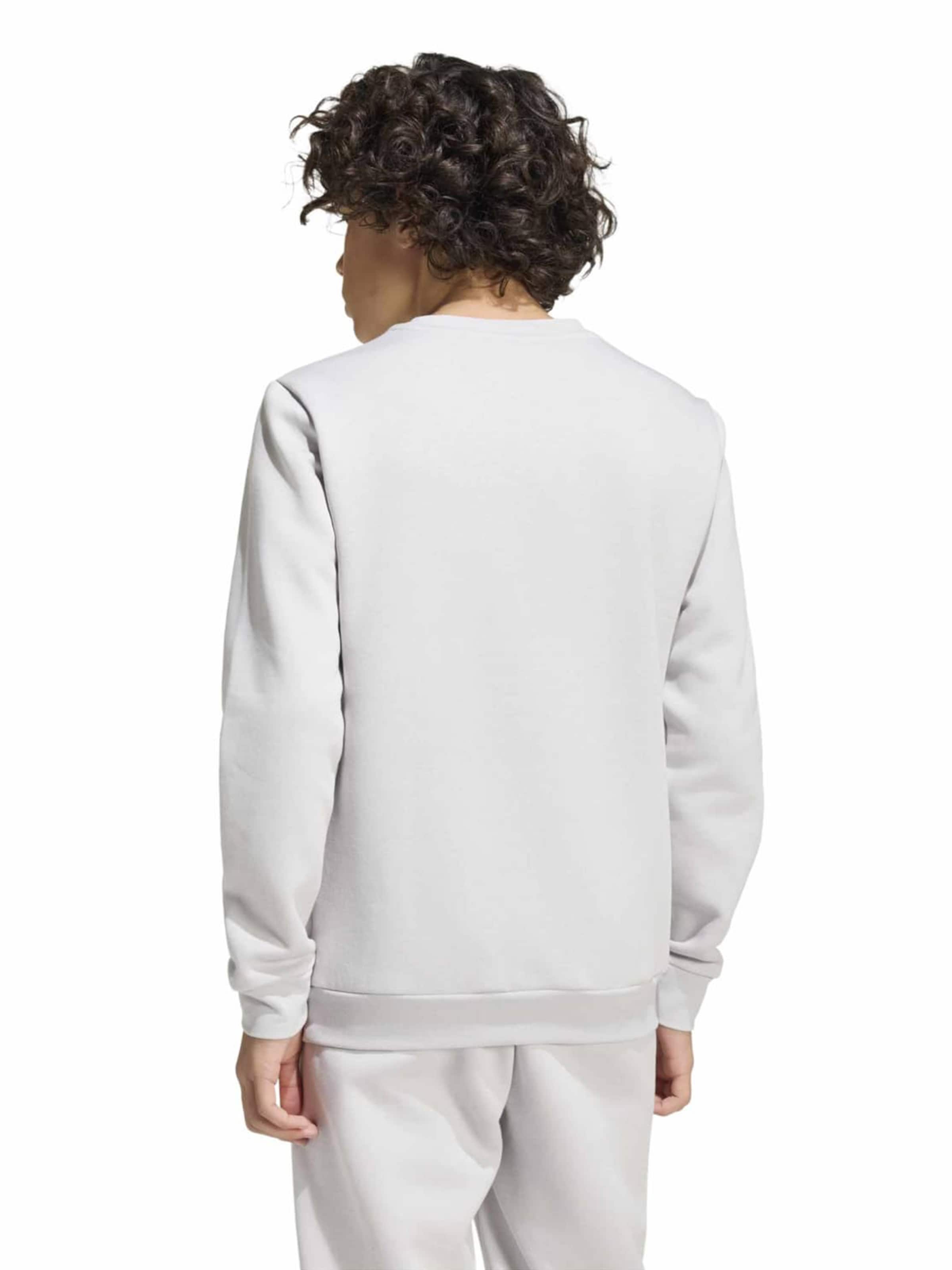 Hanorac sport 'ENT26' de la ADIDAS PERFORMANCE pe gri