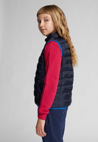 North Sails Bodywarmer in Blauw