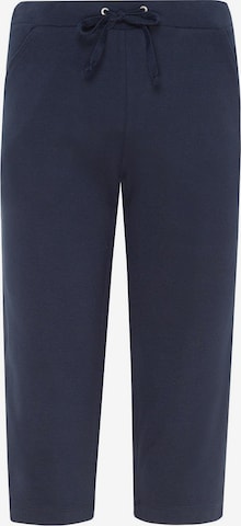 HAJO Pants in Blue: front