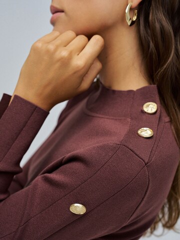 Salsa Jeans Pullover in Braun