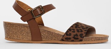 Bayton Sandal 'Wodonga' i brun