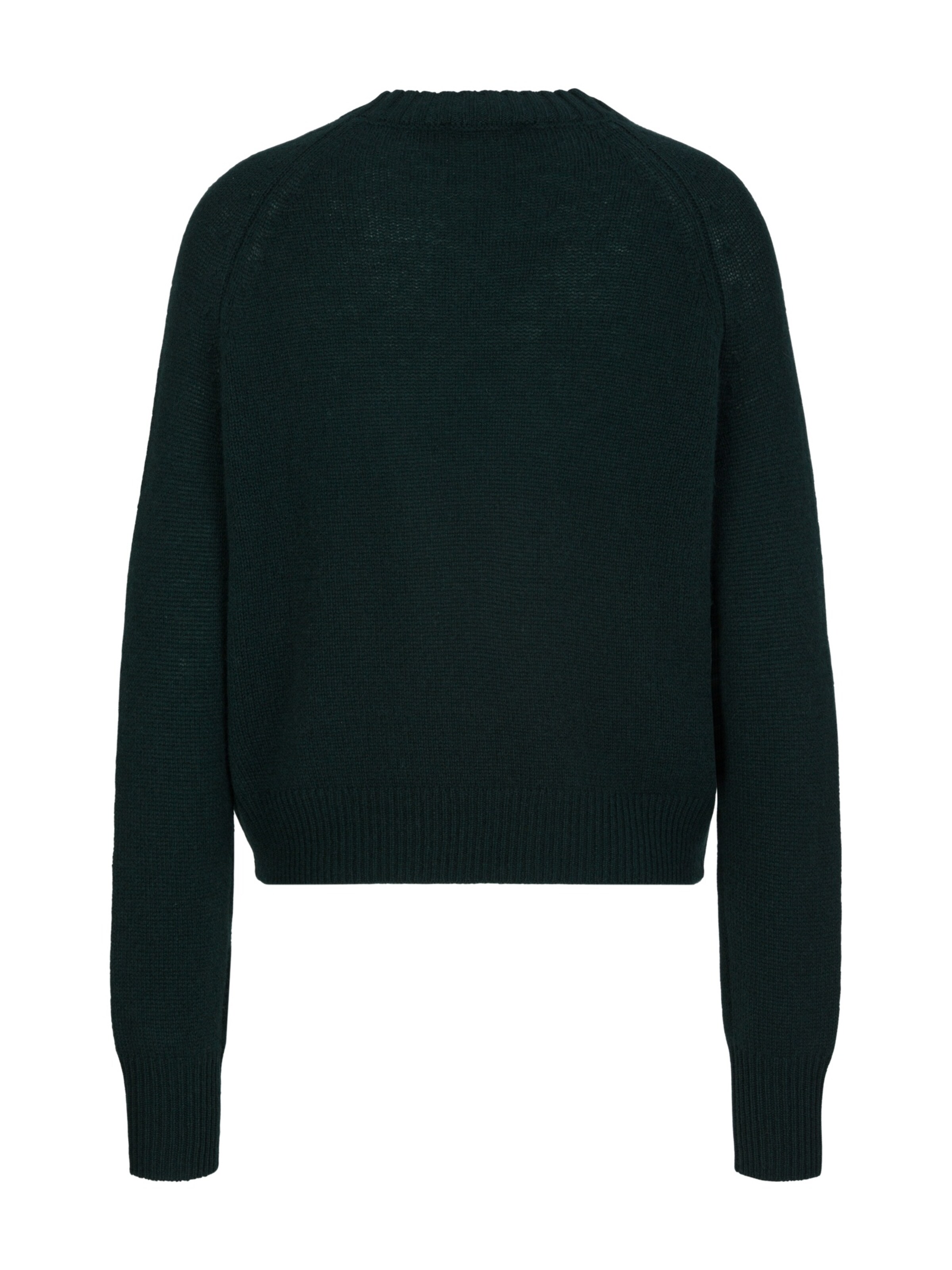 Pull-over 'Lola' 19V69 ITALIA en vert : derrière