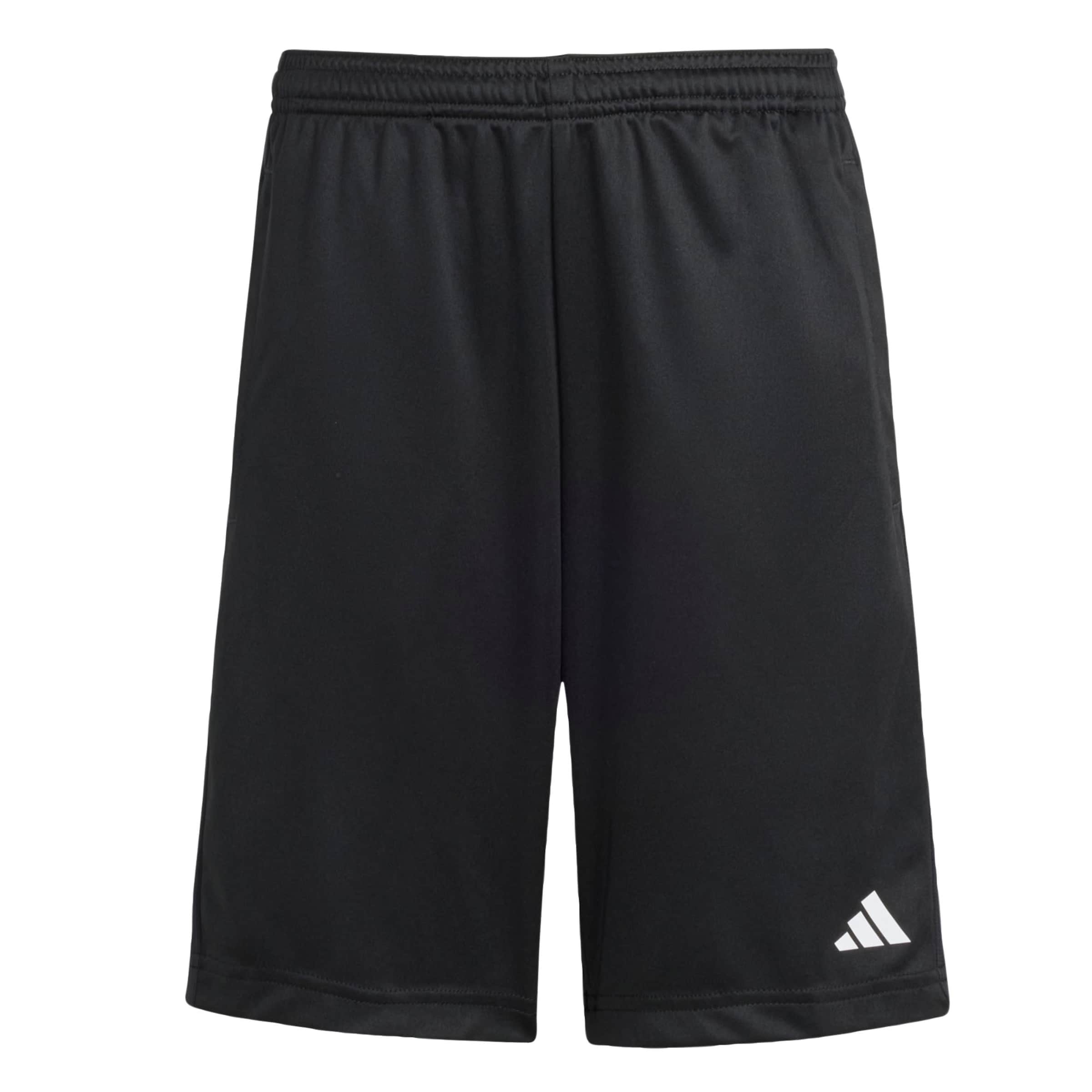 ADIDAS SPORTSWEAR Regular Sports trousers 'Essentials' in Black: front