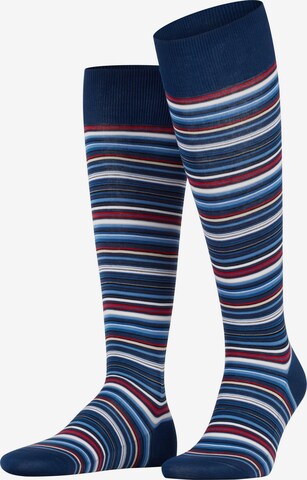 FALKE Kniestrümpfe 'Microblock' in Blau: Vorderseite