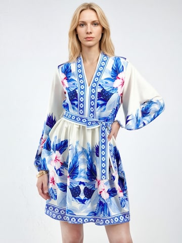 MSN Collection Dress in Blue: front