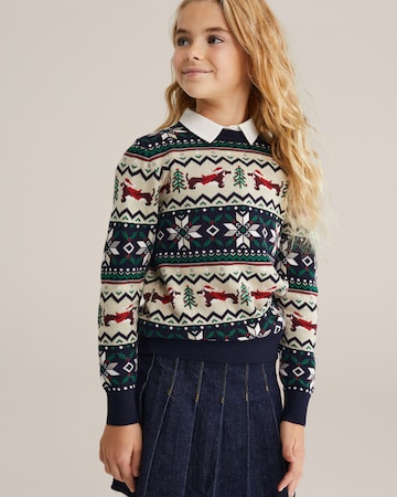 WE Fashion Pullover in Blau: Vorderseite