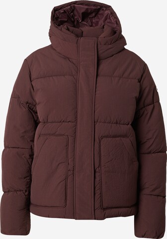 Champion Authentic Athletic Apparel Winter Jacket in Brown: front