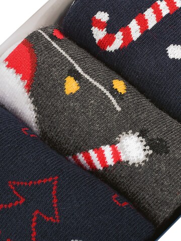 Lee Cooper Sokker i blandingsfarvet