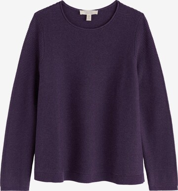 Pullover 'Makers' di Seasalt Cornwall in lilla: frontale