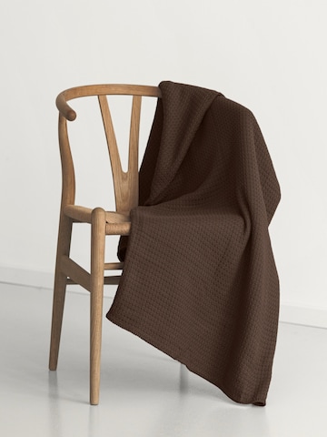 Cradle Studio Blankets in Brown