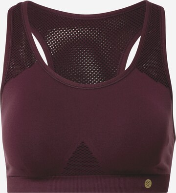 Athlecia Спортивный бюстгальтер 'Rosemary W Sports Bra' в Лиловый: спереди